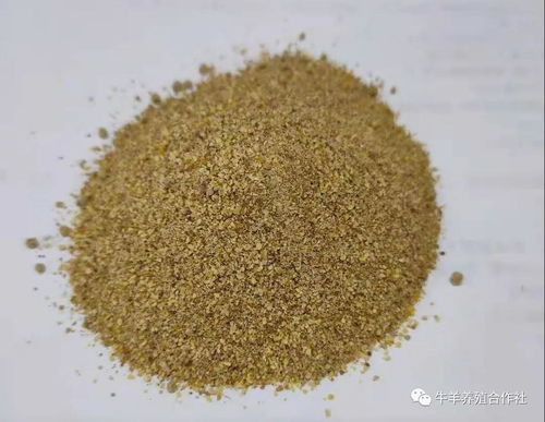 牛吃预混料好还是浓缩料好？养殖户必看的饲料选择指南