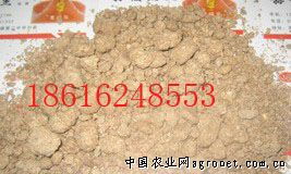 饲料产品信息中心 实时数据与全球视野——中国饲料兽药网引领行业新生态